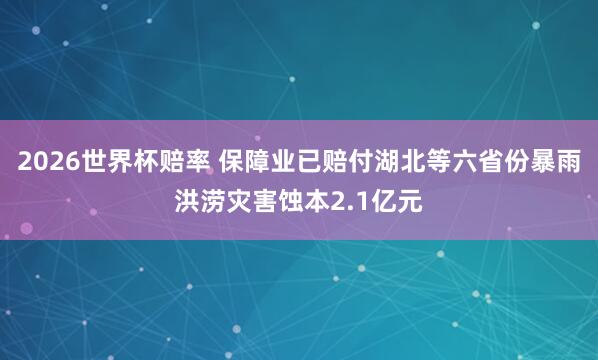 2026世界杯赔率 保障业已赔付湖北等六省份暴雨洪涝灾害蚀本2.1亿元