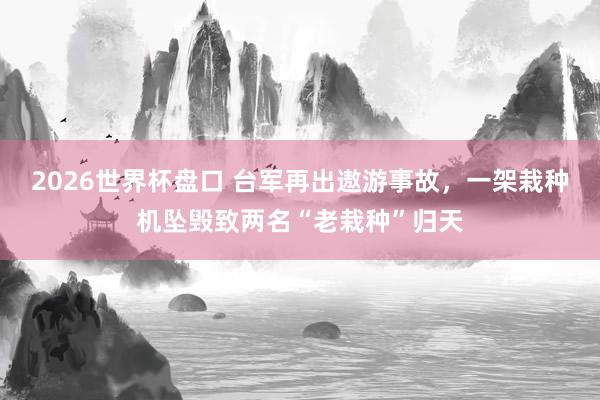 2026世界杯盘口 台军再出遨游事故，一架栽种机坠毁致两名“老栽种”归天
