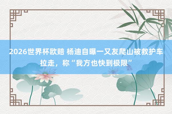 2026世界杯欧赔 杨迪自曝一又友爬山被救护车拉走，称“我方也快到极限”