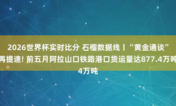 2026世界杯实时比分 石榴数据线丨“黄金通谈”再提速! 前五月阿拉山口铁路港口货运量达877.4万吨