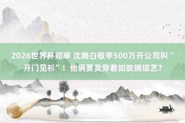 2026世界杯赔率 沈腾白敬亭500万开公司叫“开门见衫”！他俩要卖穿着如故搞综艺？