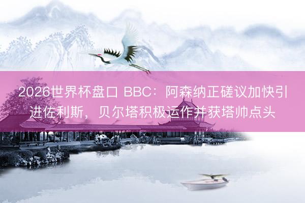2026世界杯盘口 BBC:阿森纳正磋议加快引进佐利斯,贝尔塔积极运作并获塔帅点头
