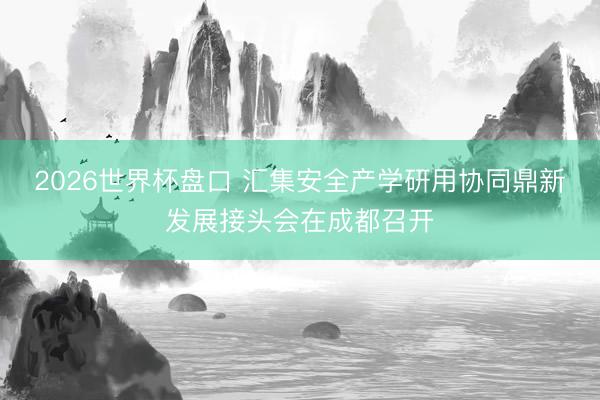 2026世界杯盘口 汇集安全产学研用协同鼎新发展接头会在成都召开