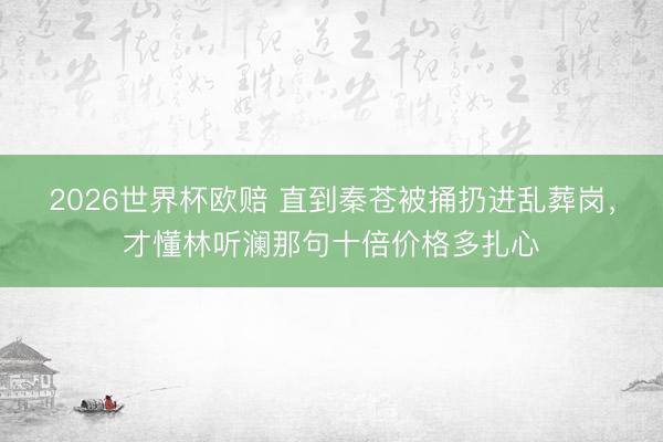 2026世界杯欧赔 直到秦苍被捅扔进乱葬岗，才懂林听澜那句十倍价格多扎心