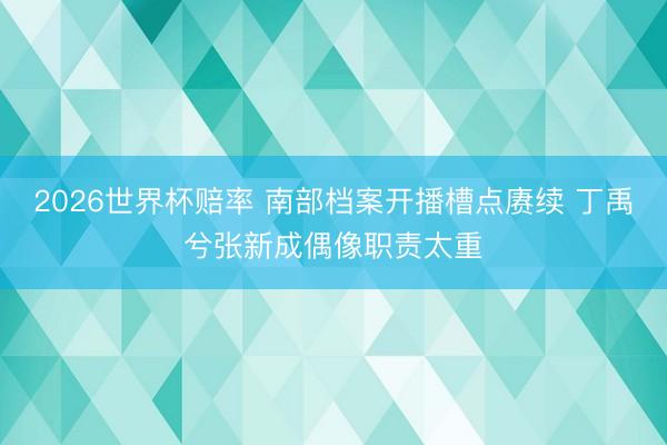 2026世界杯赔率 南部档案开播槽点赓续 丁禹兮张新成偶像职责太重